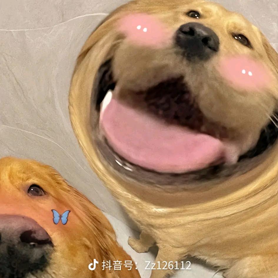 ❁我叫怡皖❁🥰