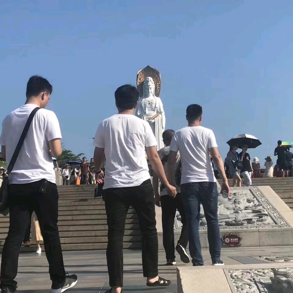 ✨強✨头像