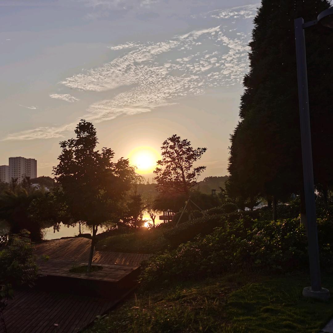 朝晨