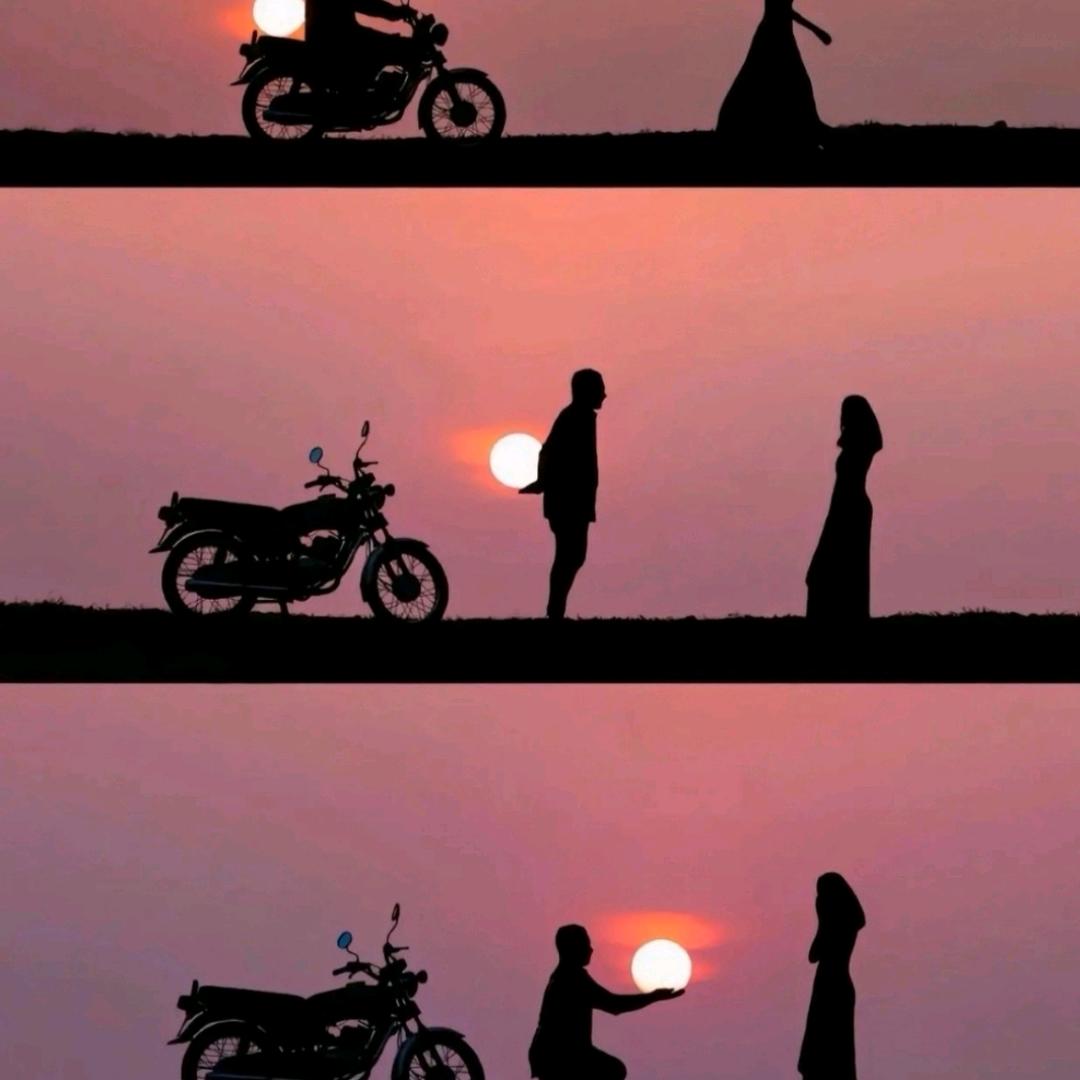 论如何科学的产后母猪护理