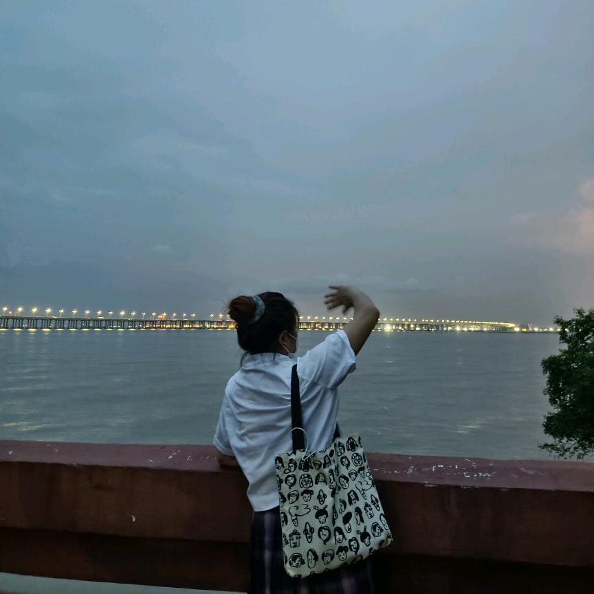 姜姜三只喵头像