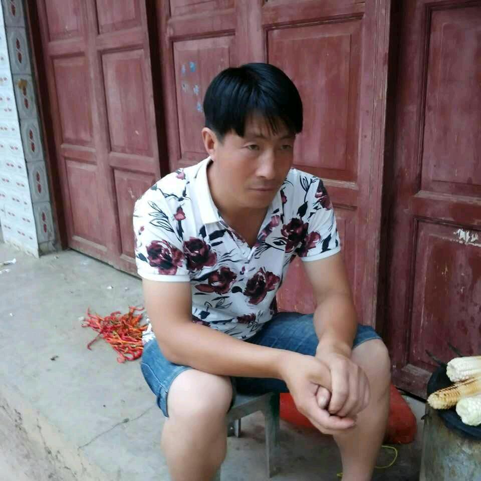 小白松