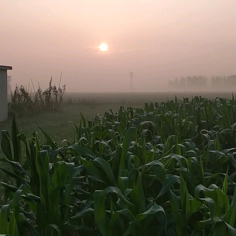 开心到永久。