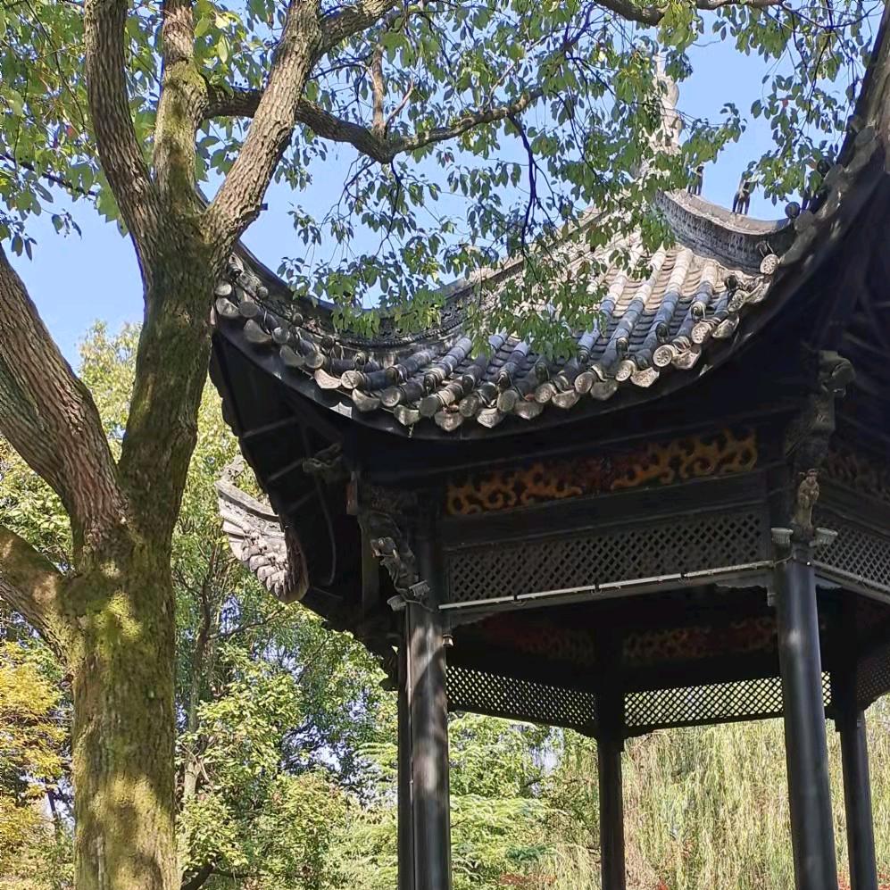 滟滟随波