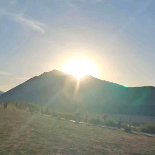 🌸冬花🌸＜手机摄影＞