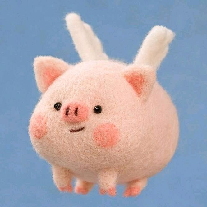 想要一个金金