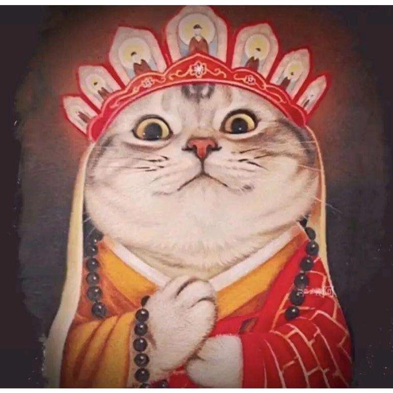 小小的石头