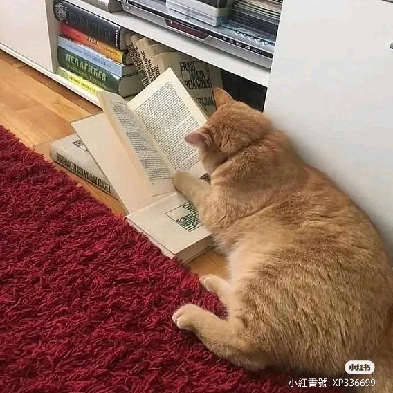 把书籍揣兜里