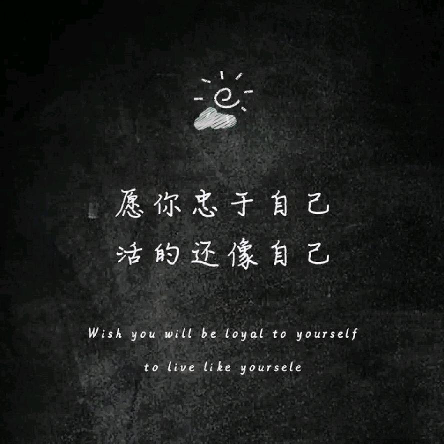 哈库呐，玛塔塔