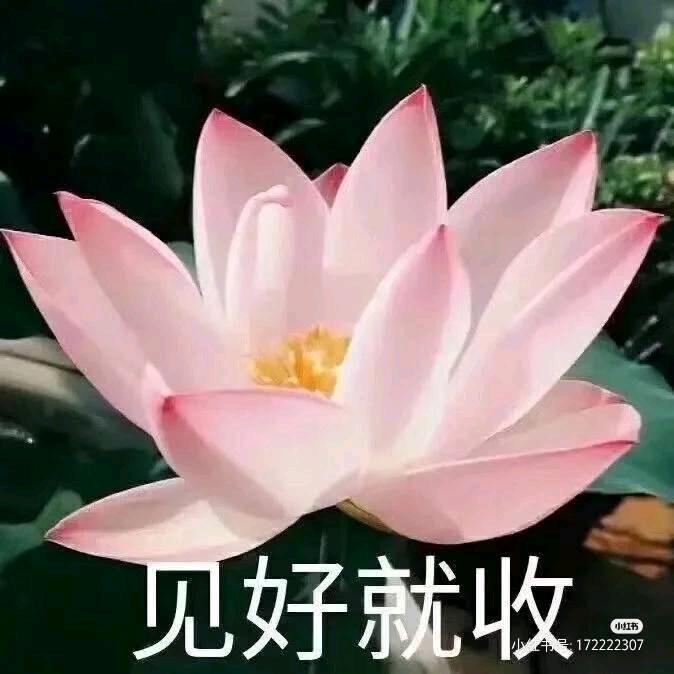 高桥镇夏勤顺