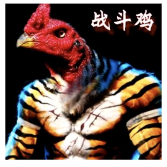 李斗鸡