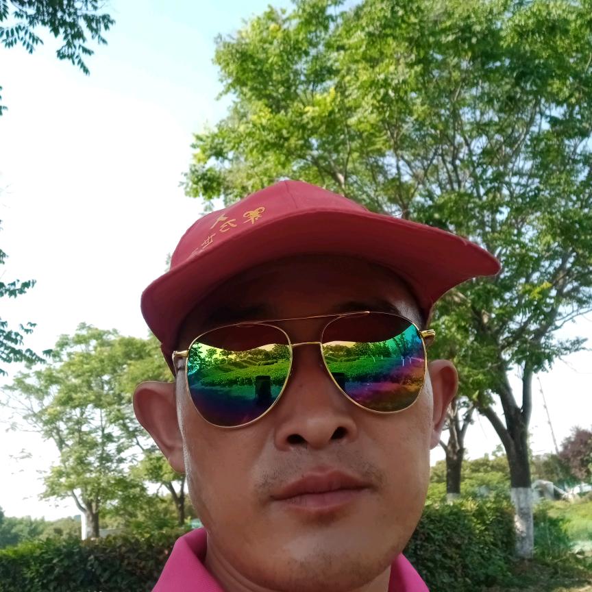 人生如梦单身一人