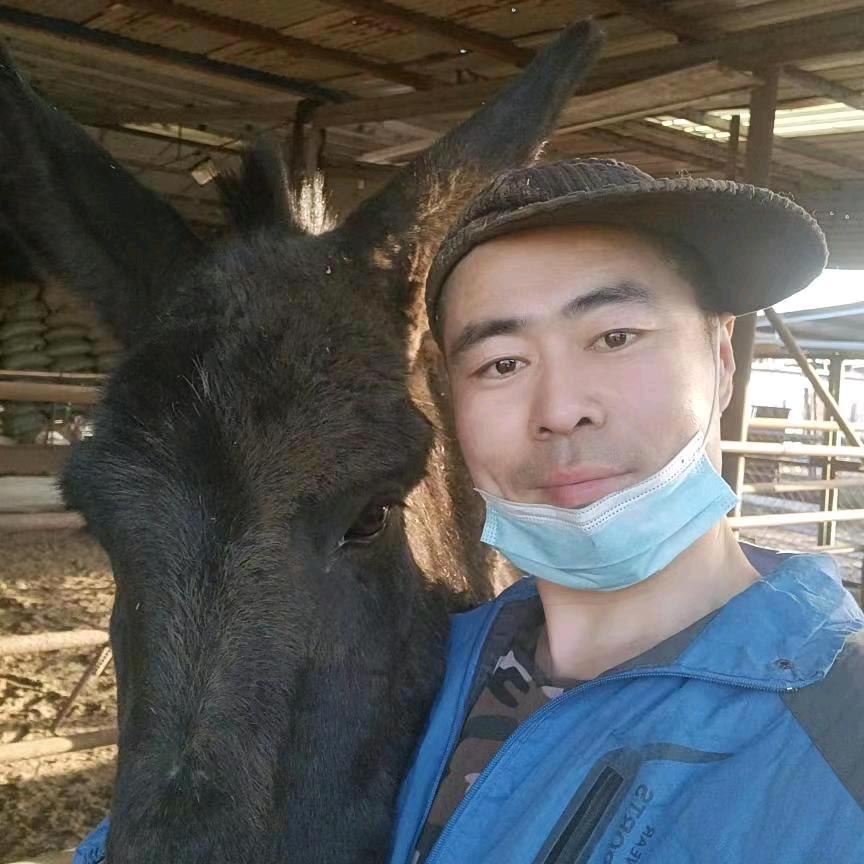 农村养驴哥