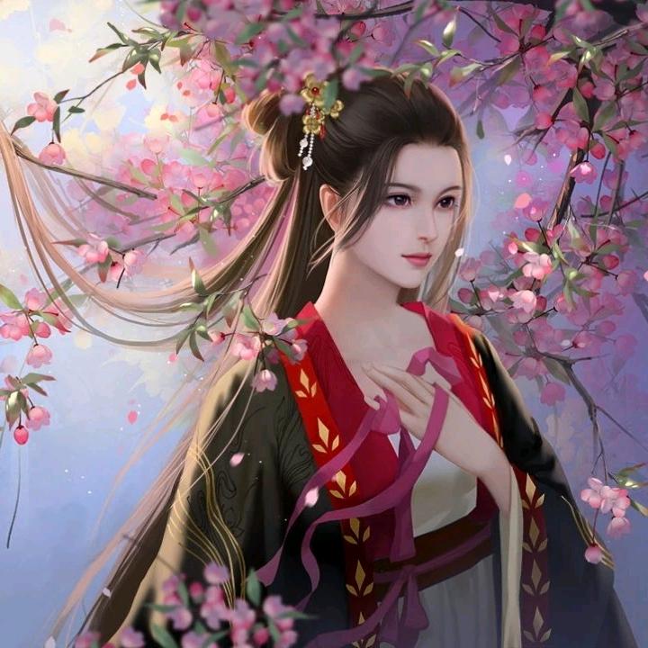 ✨红尘客✨