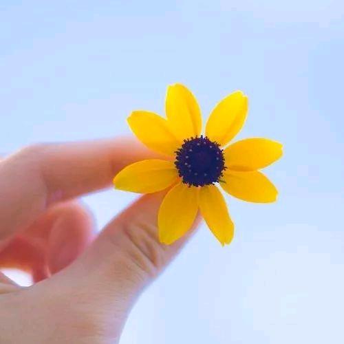 暖洋洋