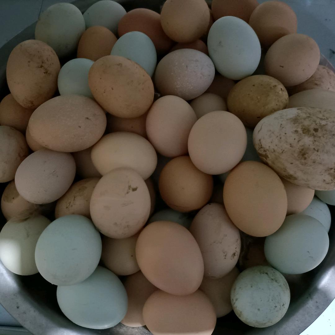 孙湾土鸡蛋西平谭店