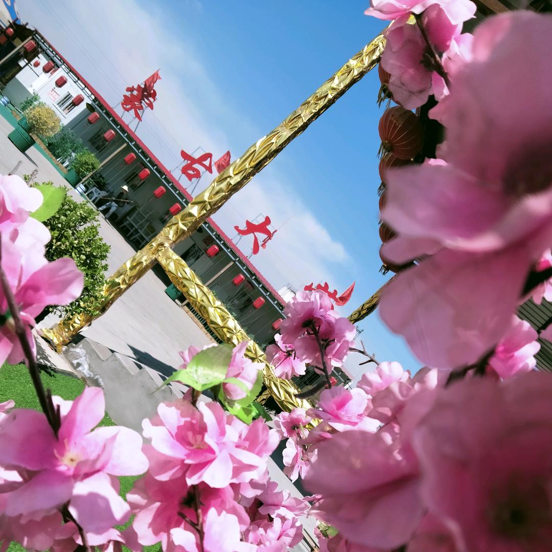 太谷蒙古大营流动餐厅（红白喜事一条龙）