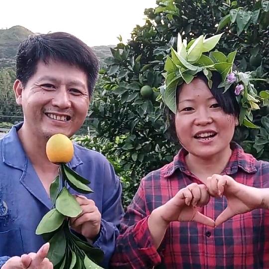 敏哥夫妇