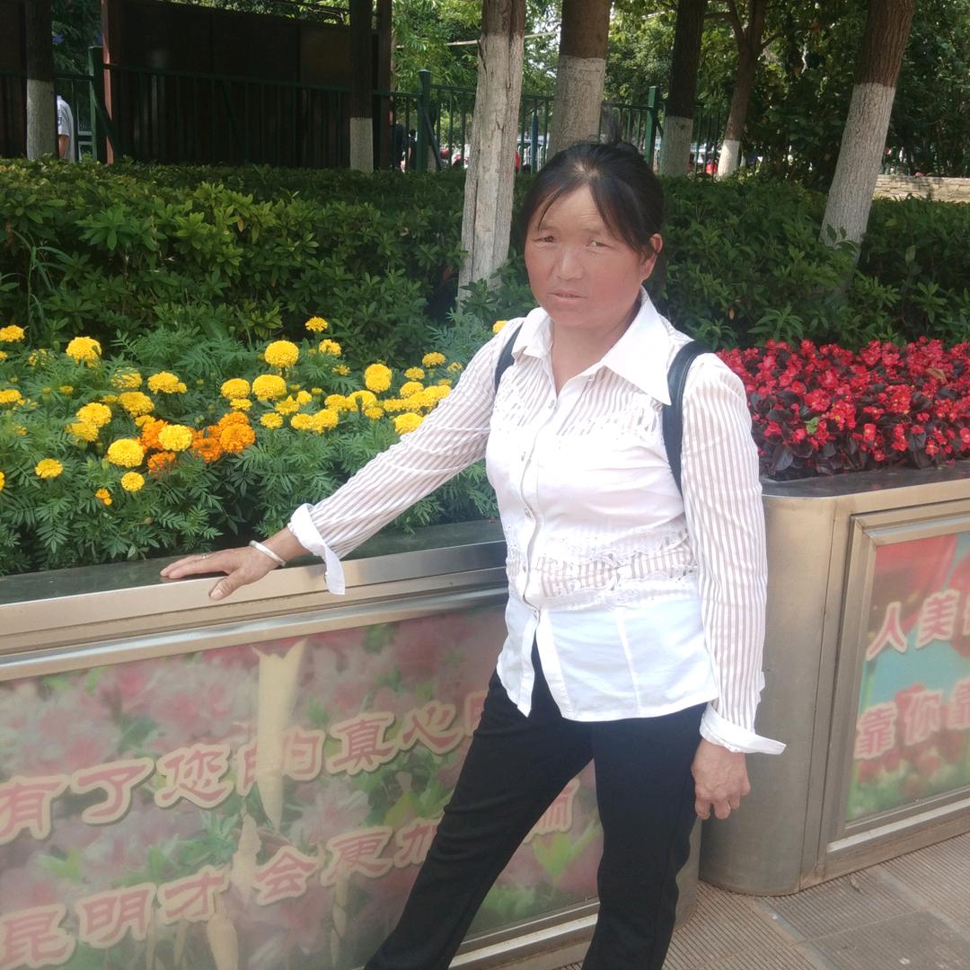 🌹🌹🌹天天开心