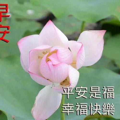 源源又圆圆