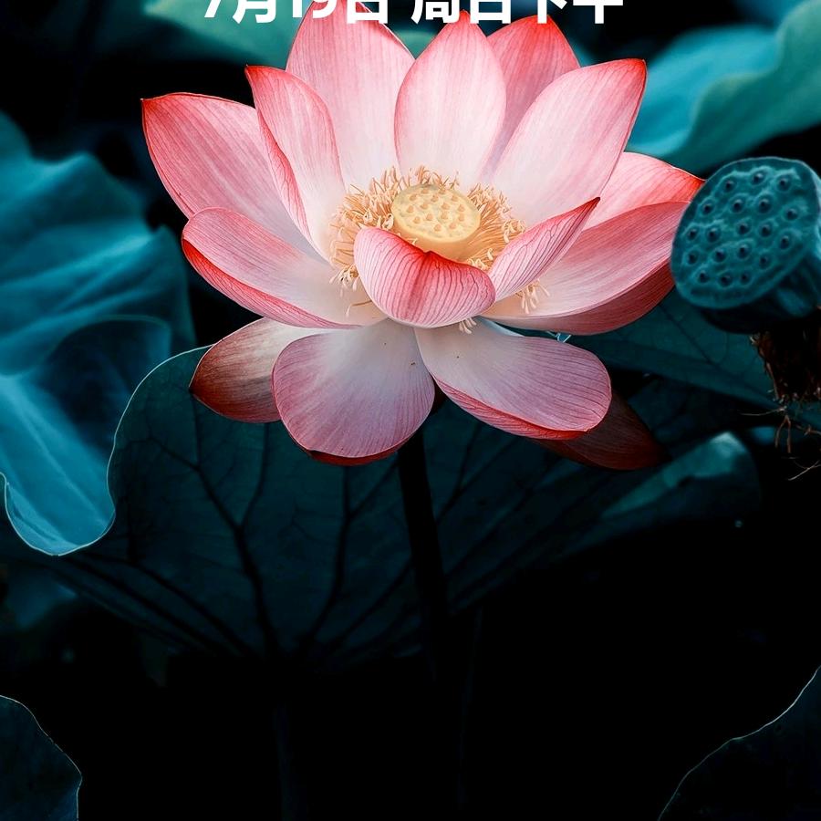用户185864811、明天会更好熊化民
