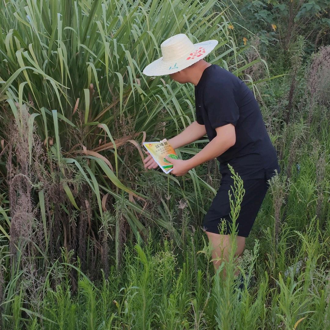 农之星农资授权号