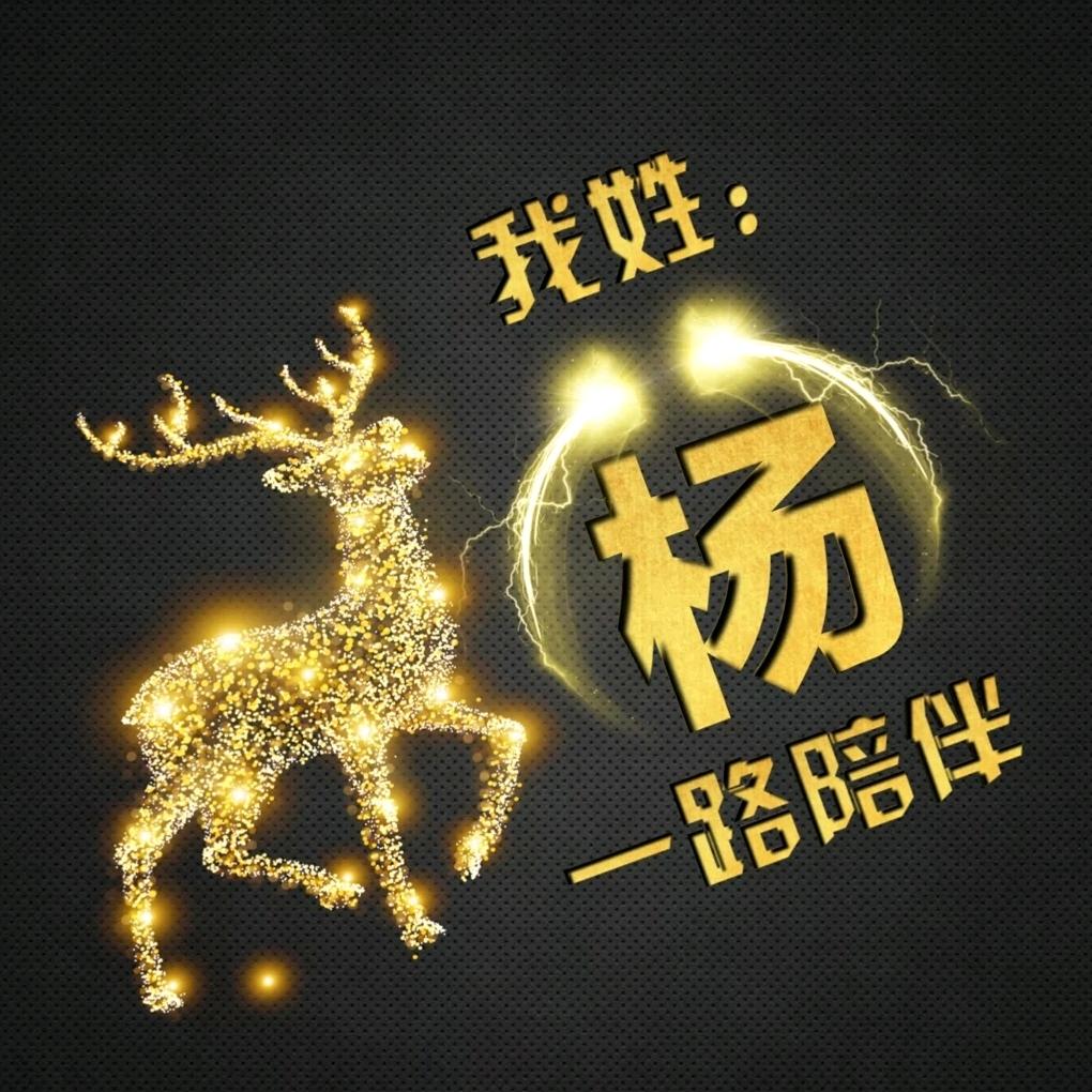 我姓杨