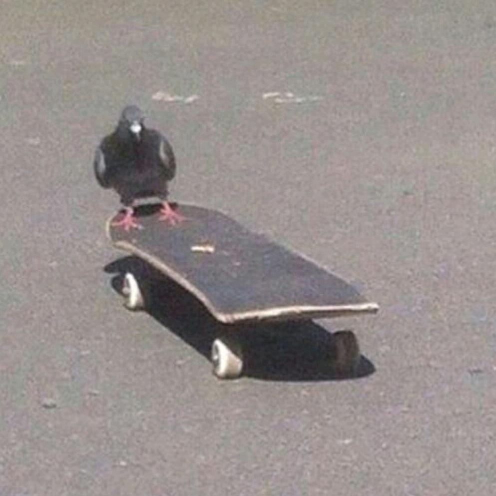 沅 芷