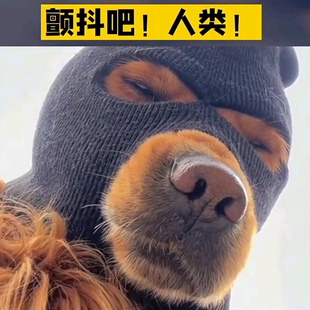 阿猹的吃瓜日记