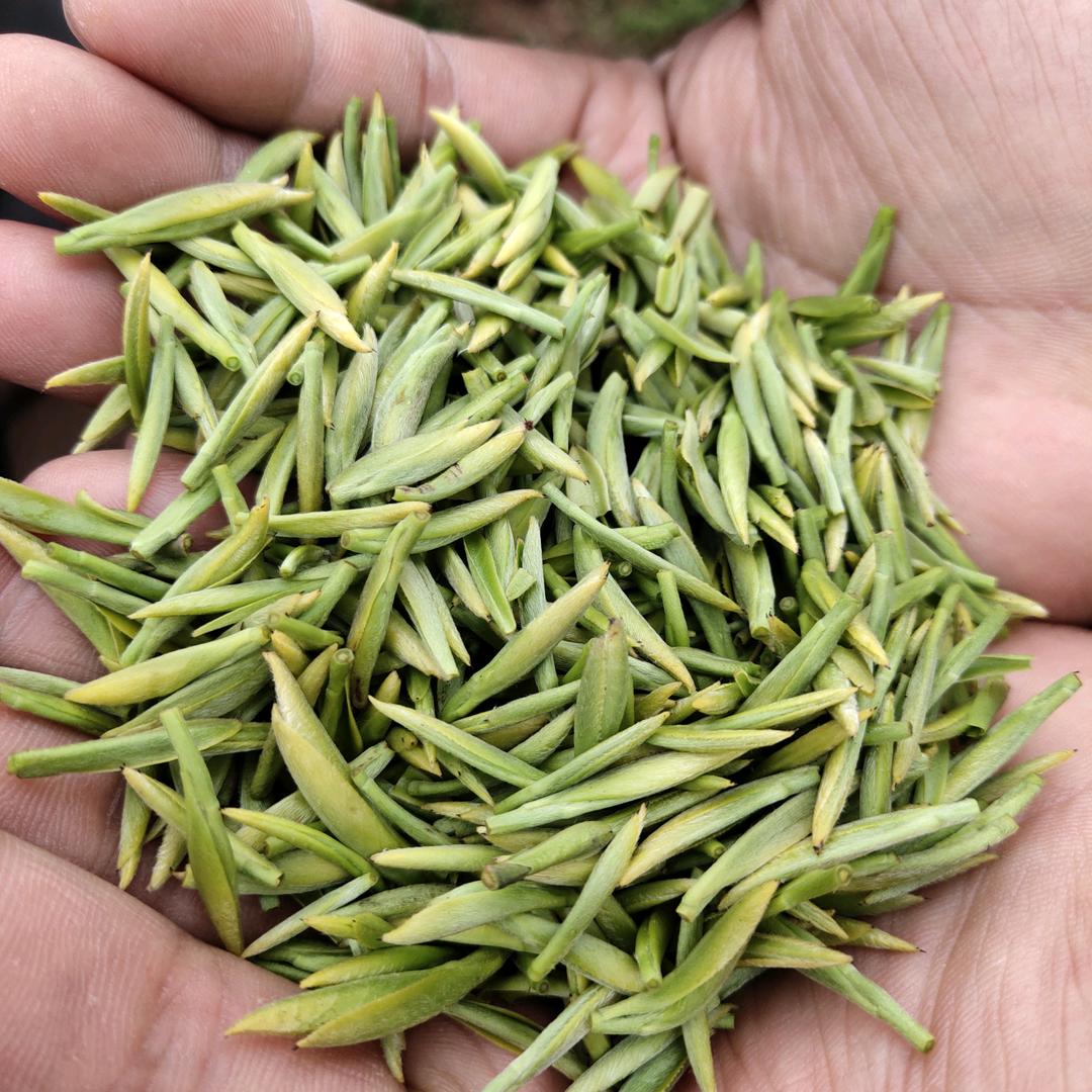꧁小茶人꧂
