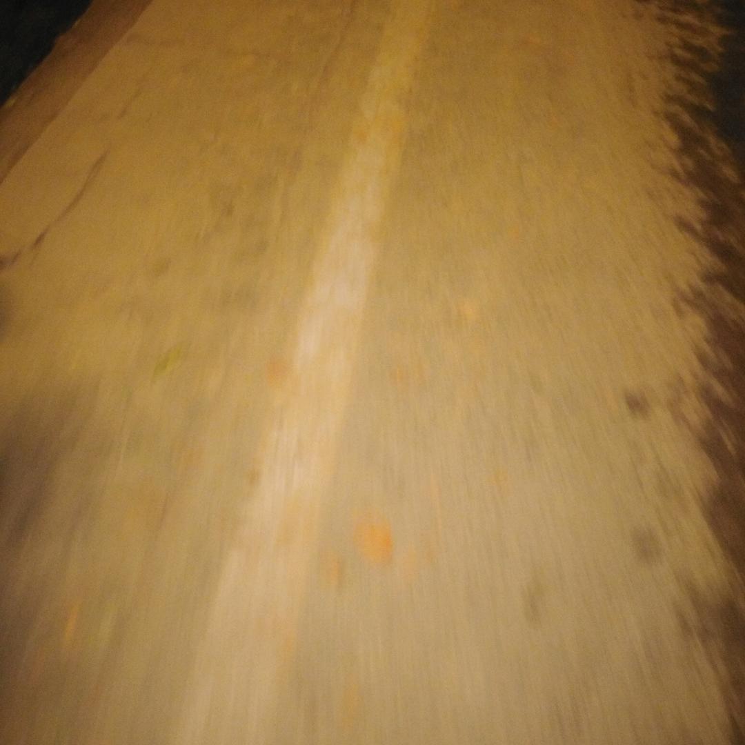 鲜小新