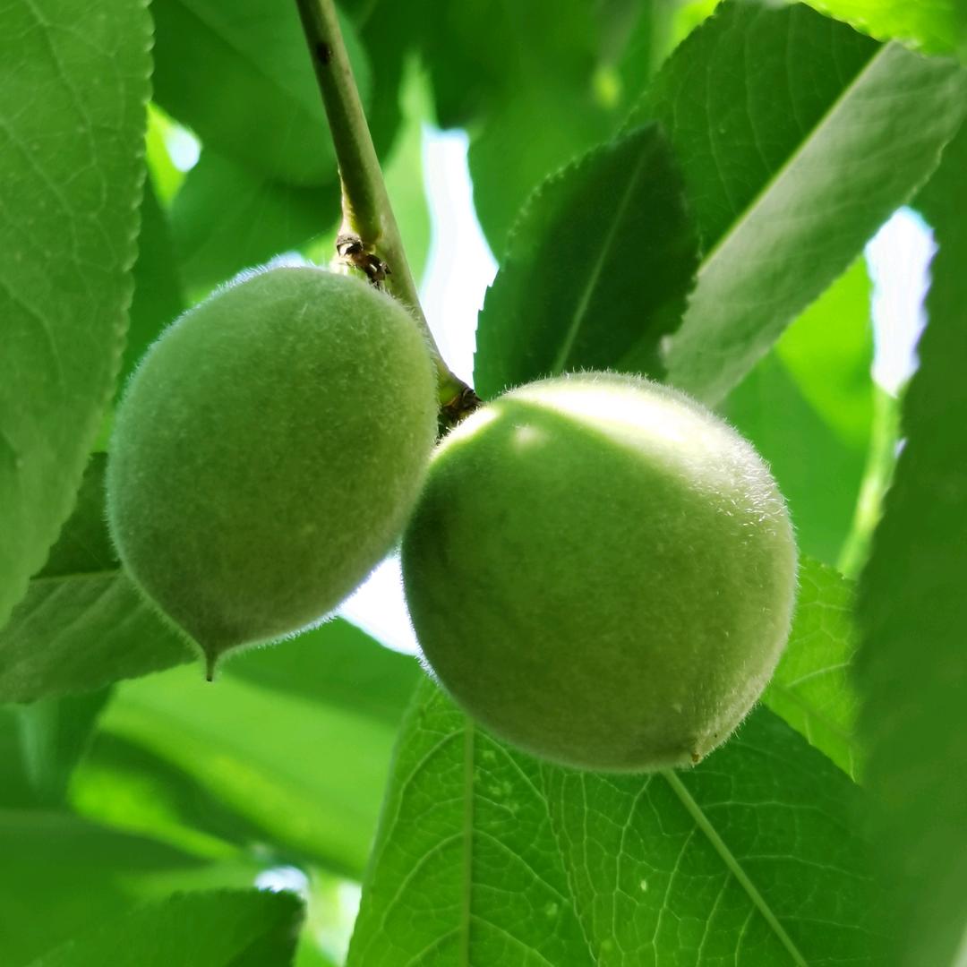 八十年代老中专