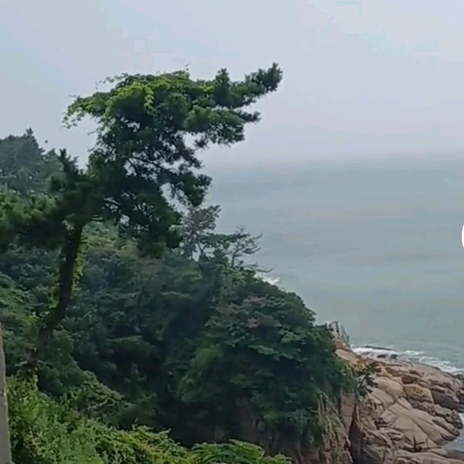 知鱼之乐