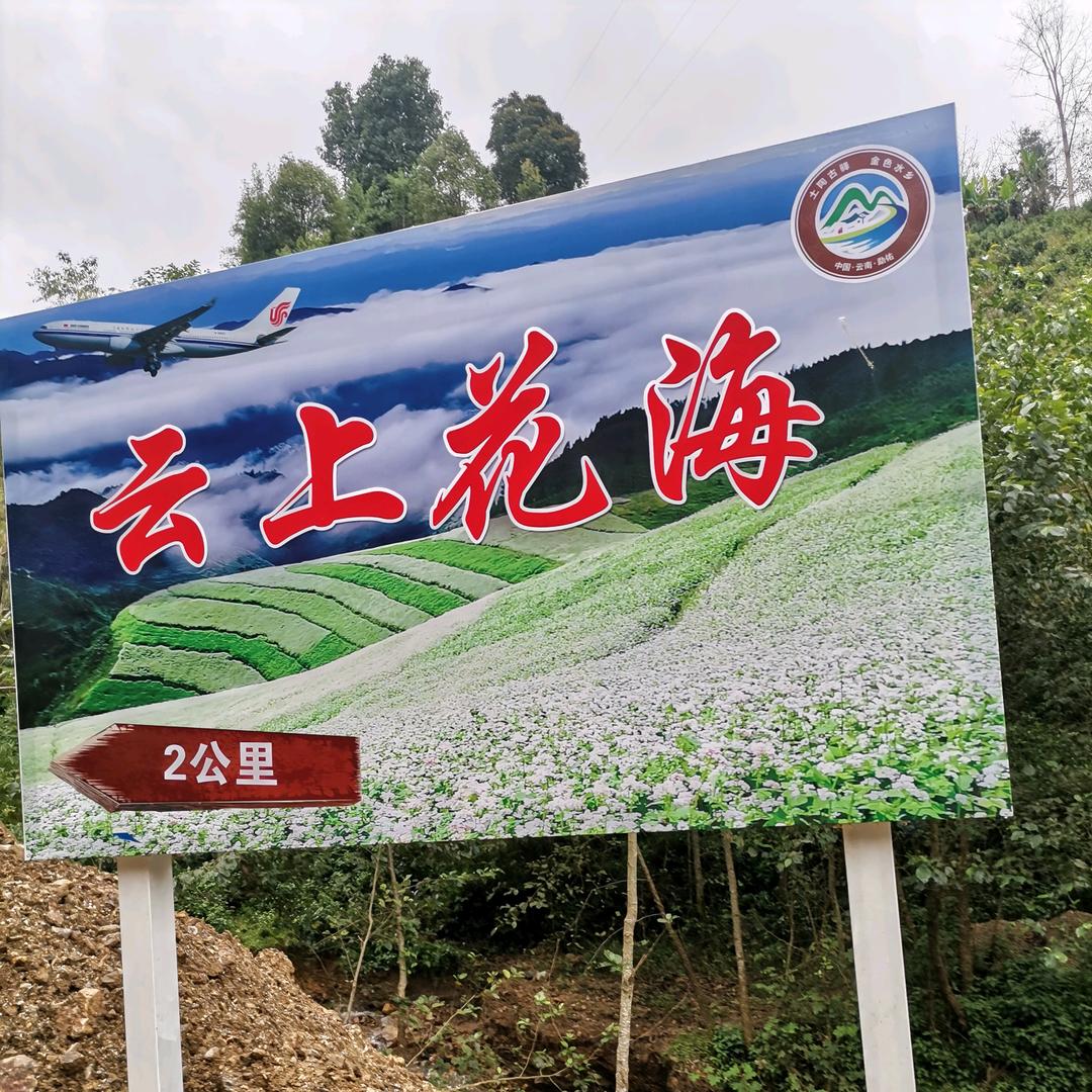 云上花海，心灵氧吧！