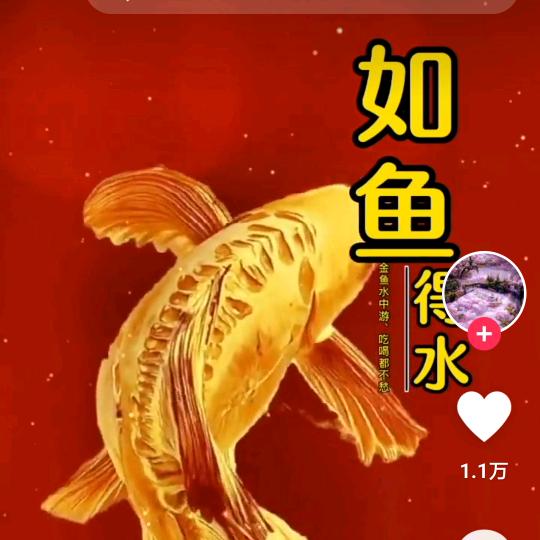 丽姐