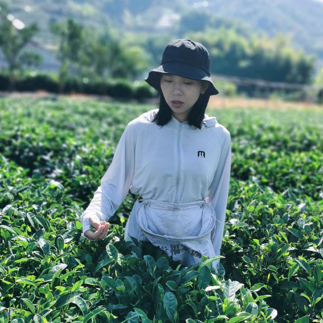 小米茶舍-松阳县龙下华江茶厂
