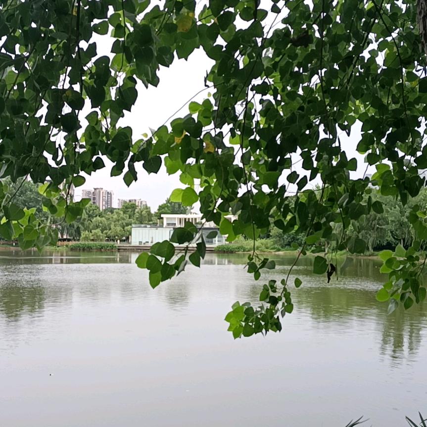 量身订做羊绒衫