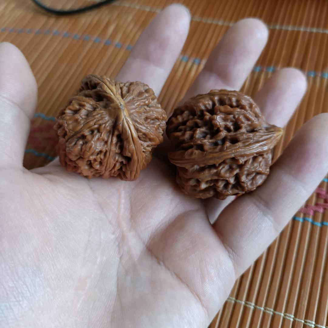 好奴奴头像