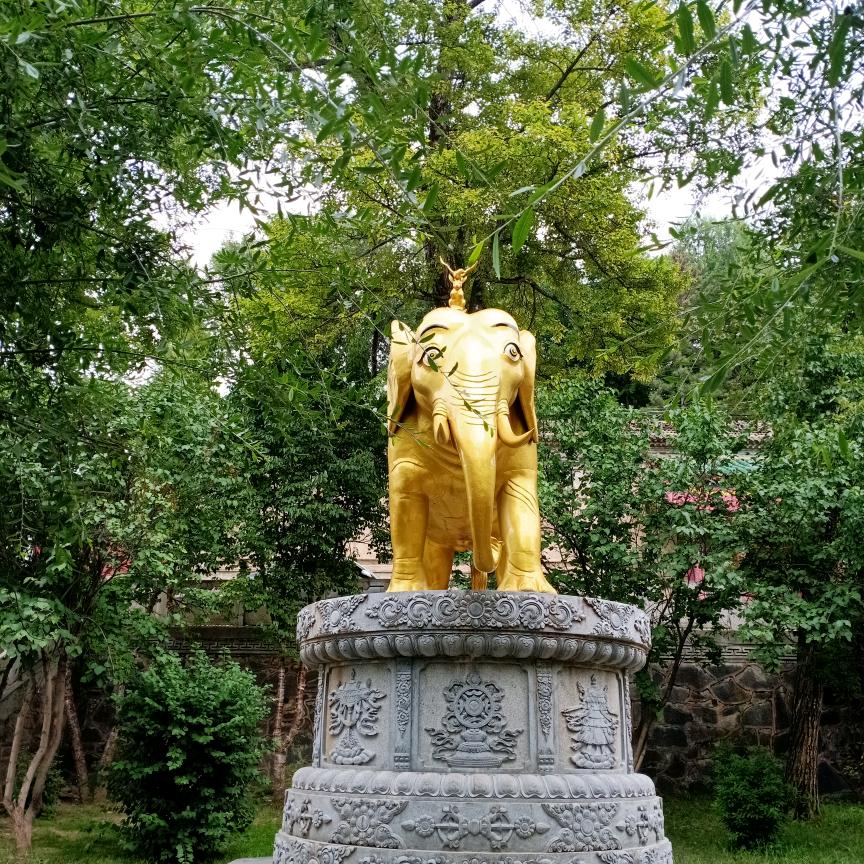 都市，，有缘人！！