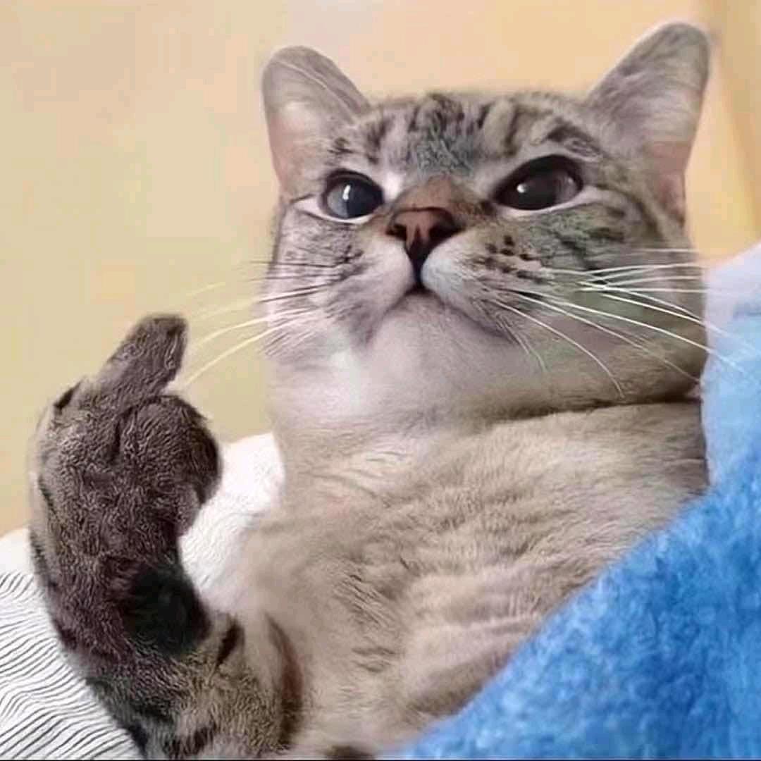 被狂踹好腿的瘸子