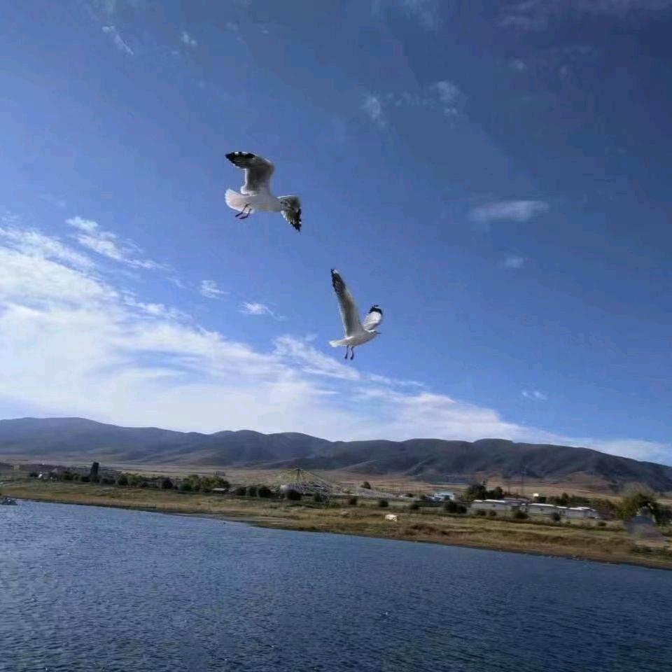 苏州·军旅用品🍎🍒