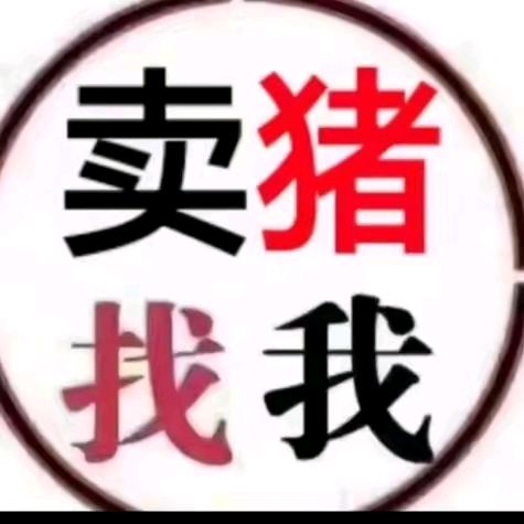 李正龙买卖小猪