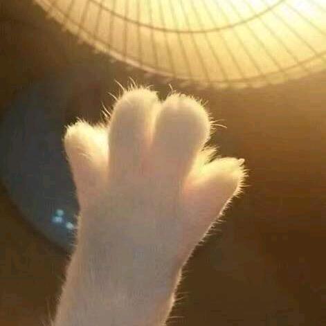 加一呀