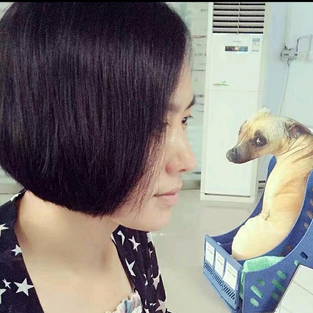 王妥妥（妥妥滴）🎤