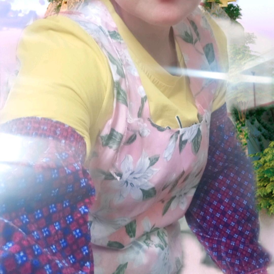 李园娇