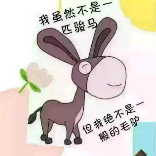 木木搞笑二人转