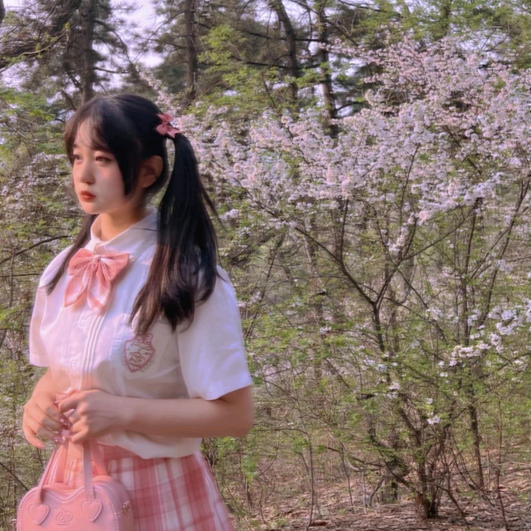 绫舞🦋头像