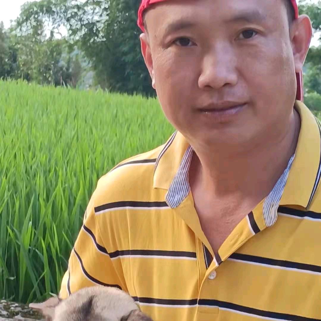 弯弓长剑头像
