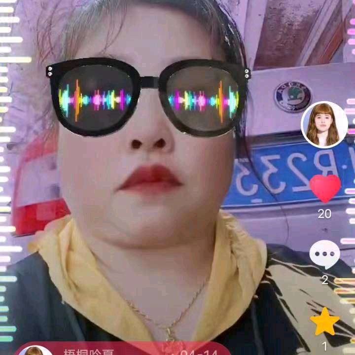 梧桐吟夏