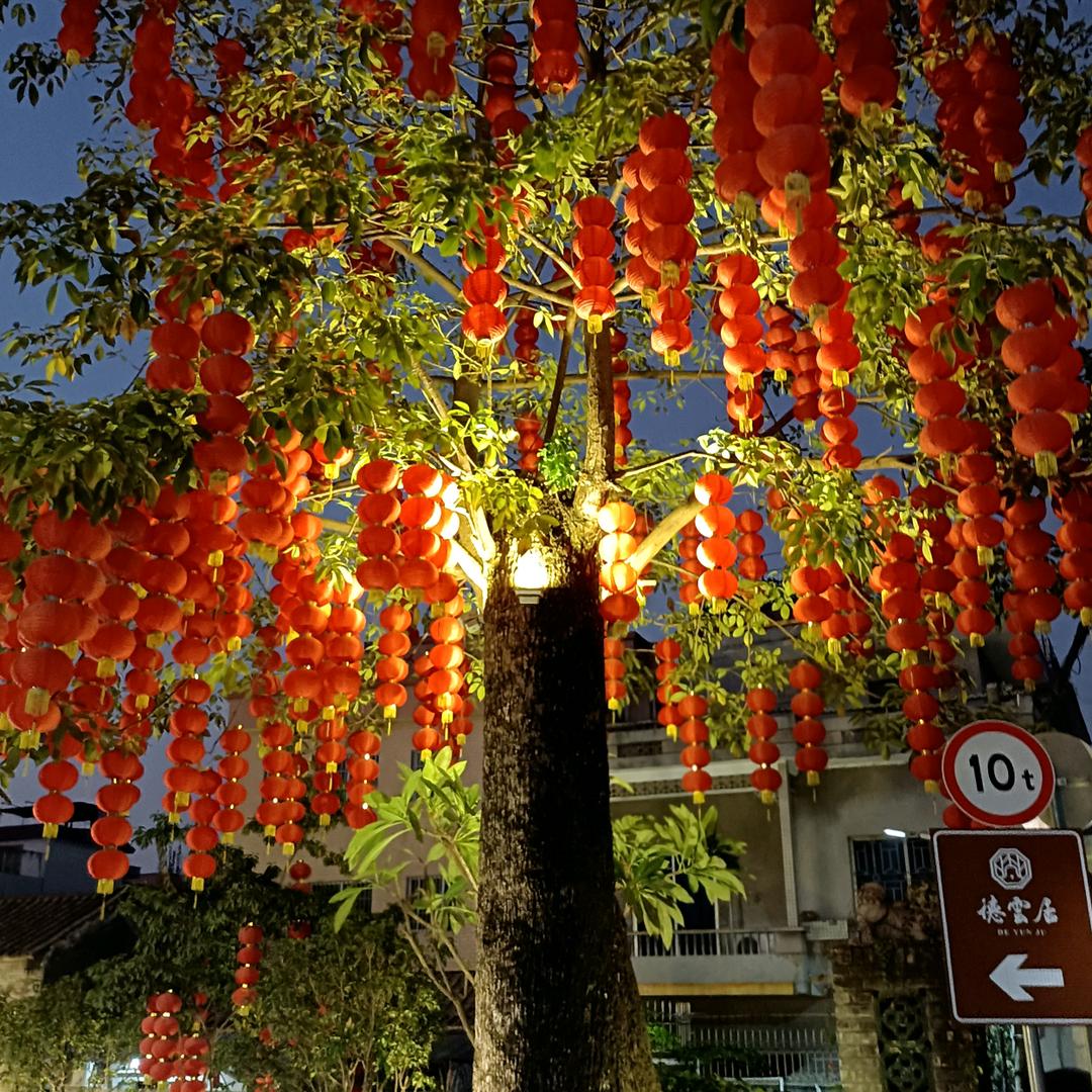 鸿运